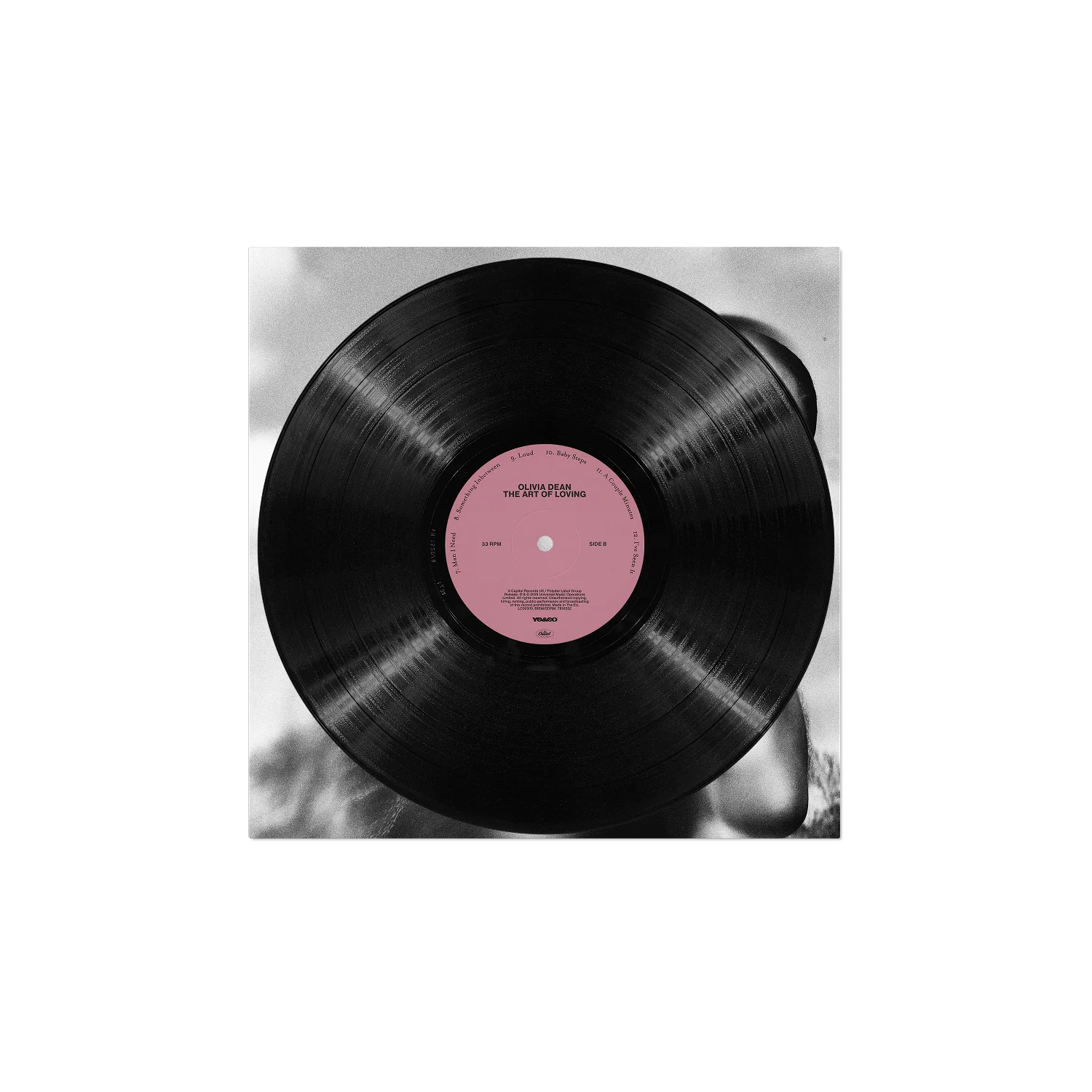 The Art of Loving Vinyl - Image 4